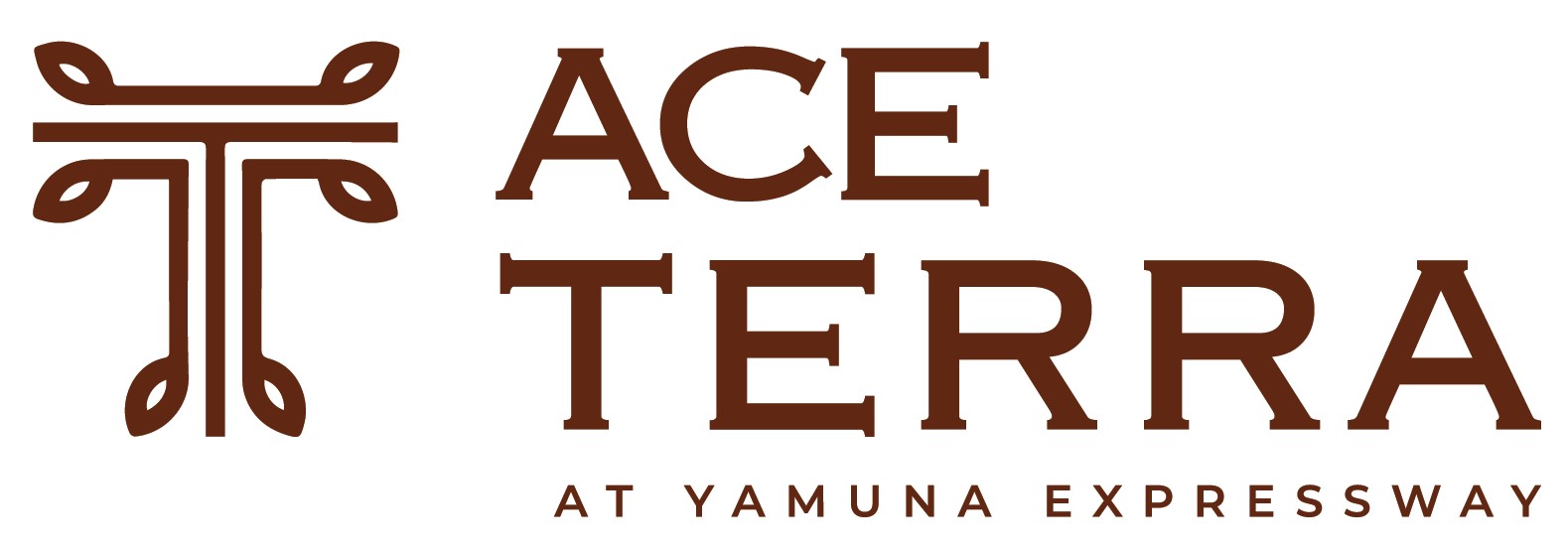 ACE Terra